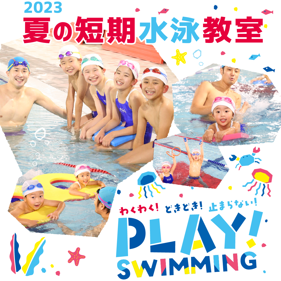 スイミング,夏短期レッスン,スタジオレッスン